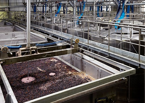 Automated pigeage machine on tank of fermenting Pinotage in winery of  Nederburg  Paarl South Africa