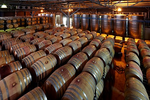 Airconditioned barrel cellar of Nederburg winery  Paarl Western Cape South Africa