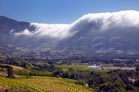 The Franschhoek Valley viewed from vineyards of Boekenhoutskloof with the tablecloth cloud on the mountains blown in by the Cape Doctor  Franschhoek Western Cape South Africa Franschhoek Valley