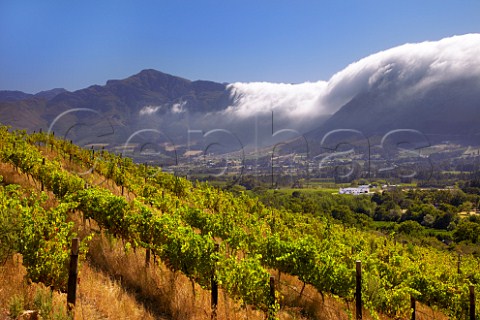 The Franschhoek Valley viewed from vineyards of Boekenhoutskloof with the tablecloth cloud on the mountains blown in by the Cape Doctor  Franschhoek Western Cape South Africa Franschhoek Valley