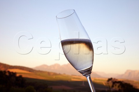 Glass of Cap Classique sparkling wine at Jordan Estate Stellenbosch Western Cape South Africa
