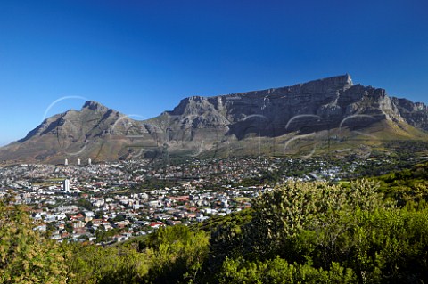 Cape Town and Table Mountain viewed from Signal Hill   Western Cape South Africa