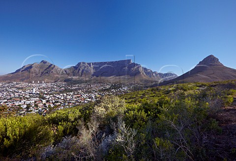 Cape Town Table Mountain and Lions Head viewed from Signal Hill   Western Cape South Africa