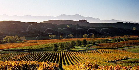 View from Omaka Ridge Vineyard to Cloudy Bay  Barracks Vineyard with the Richmond Ranges in the far distance Upper Omaka Valley Marlborough New Zealand