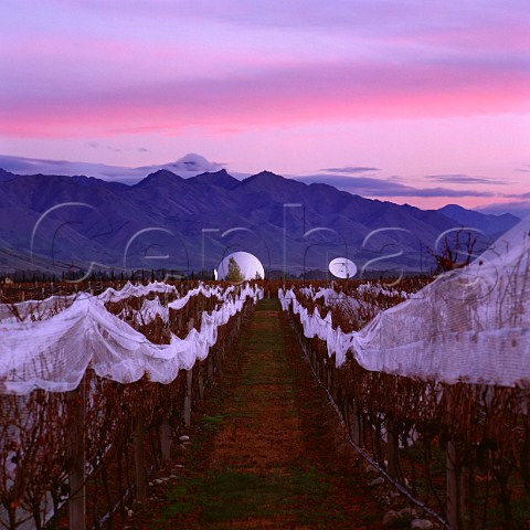 Vineyard of Tohu and the Electronic Intelligence Gathering Base in the Waihopai Valley Marlborough New Zealand