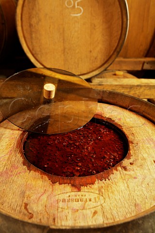 Experimental red wine fermentation in a modified barrique at Radikon winery Oslavia Friuli Italy  Collio