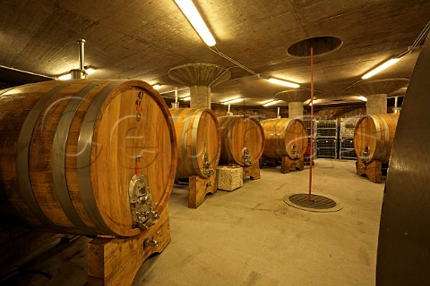 Cellar of Edi Kante winery Prepotto Duino Aurisina Friuli Italy  Carso
