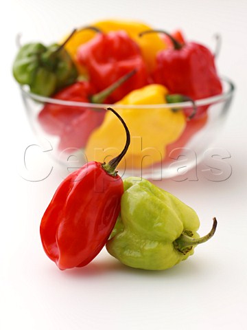 Scotch bonnet chilli peppers