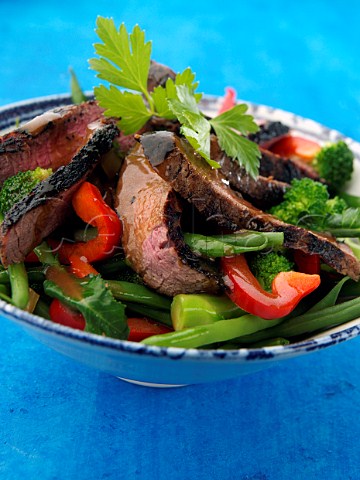 Chargrilled fillet steak strips with vegetable salad honey viinarette dressing