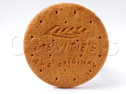 Digestive biscuit on a white background