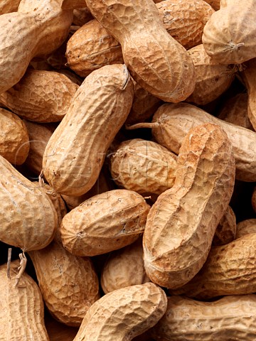 Whole peanuts