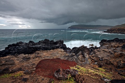 Storm gathering over the coast with an abandoned and halfburied Moai red topknot in the foreground Easter Island