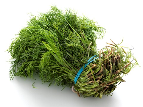 A bunch of dill on a white background