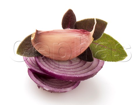 Sage onion and garlic on a white background