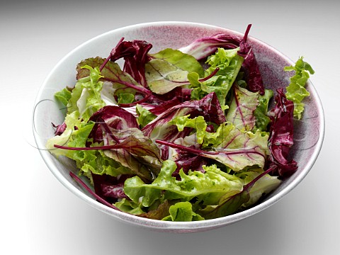 A bowl of radicchio mixed leaf salad on a white background