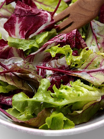 Close up of a bowl of radicchio mixed leaf salad on a white background