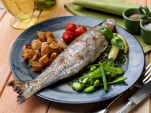 Individual portion of broiled rainbow trout and sautee potatoes tomatoes with green bean salad