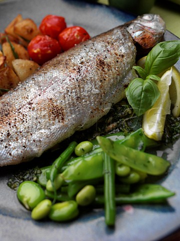 Rainbow trout and sautee potatoes tomatoes and green bean salad