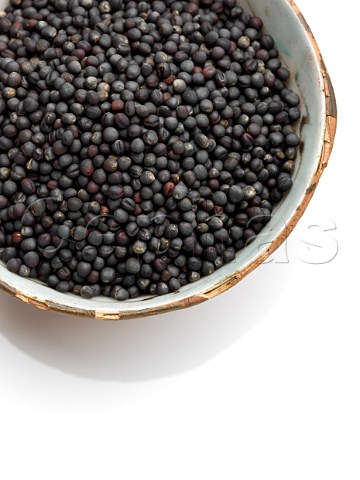 A bowl of black mustard seed on a white background
