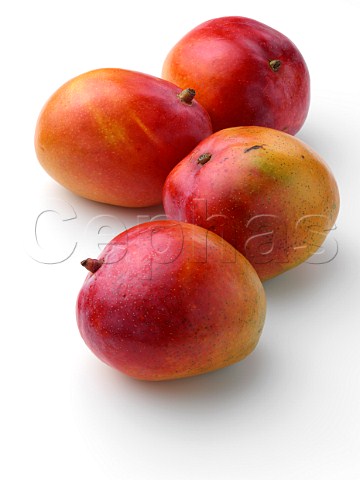 Ripe Honey mangoes on a white background