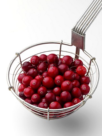 Ripe cranberries in a metal strainer on a white background