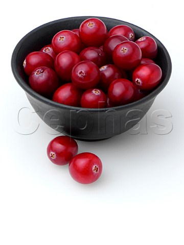 Ripe cranberries in a black bowl