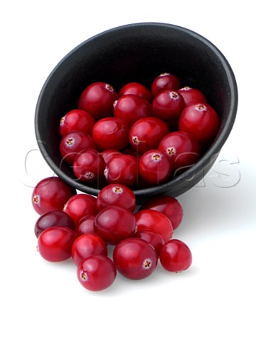Ripe cranberries