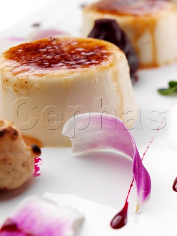 Goats cheese creme brulee