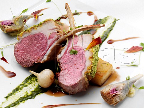 Individual portion of lamb rack