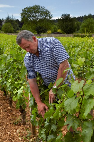 Rgis Bouvier examining the flowering of Chardonnay vines in his Clos du Roy vineyard Domaine Rgis Bouvier MarsannaylaCte CtedOr France  Marsannay