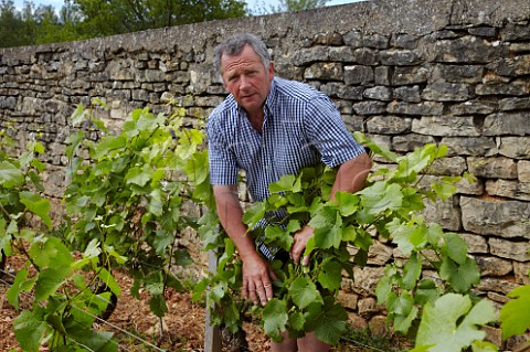 Rgis Bouvier examining the flowering of Pinot Noir vines in his Clos du Roy vineyard Domaine Rgis Bouvier MarsannaylaCte CtedOr France  Marsannay