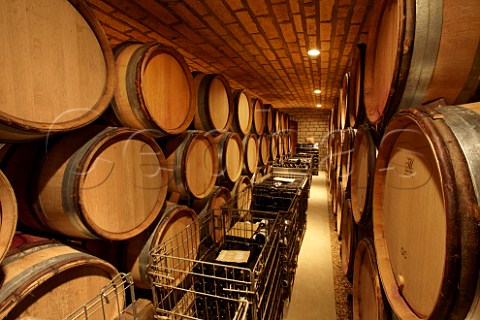 Barrel cellar of Domaine Charles Audoin MarsannaylaCte CtedOr France  Marsannay