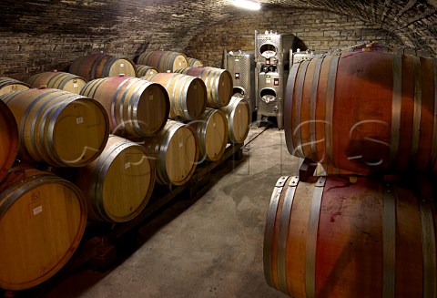 Different sizes of barrels in cellar of Domaine Jean Fournier  MarsannaylaCte CtedOr France  Marsannay