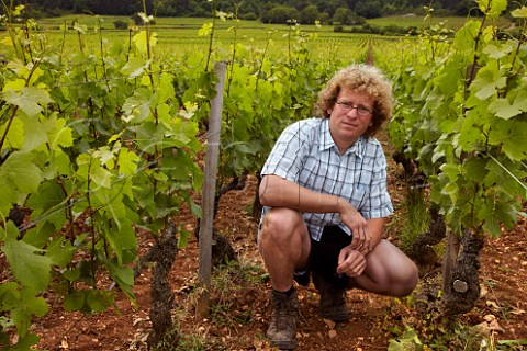 Sylvain Pataille with 60year old Pinot Noir vines in his La Charme aux Prtres vineyard Domaine Sylvain Pataille MarsannaylaCte CtedOr France  Marsannay
