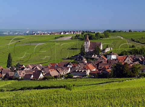 View over the Rosacker vineyard to the village of Hunawihr with Zellenberg in distance  HautRhin France  Alsace Grand Cru