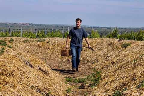 Monty Waldin biodynamic consultant in his compost pile with the wooden box containing his six biodynamic compost preparations  In the Hochfeld vineyard of Dr Brklin Wolf at Bad Drkheim Pfalz Germany