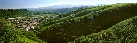 Vineyards above Ampuis and the River Rhne Rhne France  CteRtie