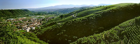 Vineyards above Ampuis and the River Rhne Rhne France  CteRtie