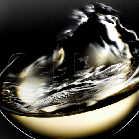 Swirling a glass of Newton Johnson chardonnay