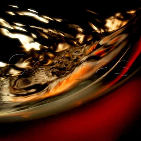 Swirling a glass of Ros des Riceys wine