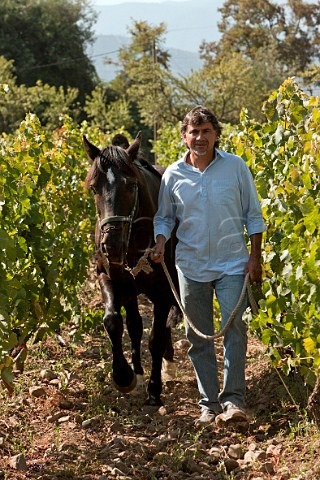 Alvaro Espinoza in Cabernet Sauvignon vineyard of Antiyal winery Maipo Valley Chile