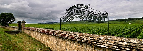 Sign for Domaine Louis Jadot on the wall of the Clos de Vougeot vineyard Vougeot Cte dOr France Cte de Nuits Grand Cru