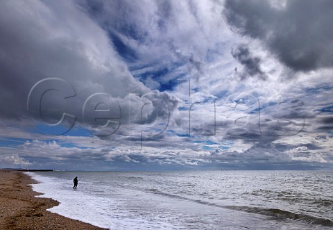 Man in wetsuit preparing to go swimming ShorehambySea Sussex England