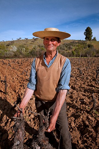 Nivaldo Morales in his old Carignan and Pas vines near Sauzal in the Maule Valley Chile