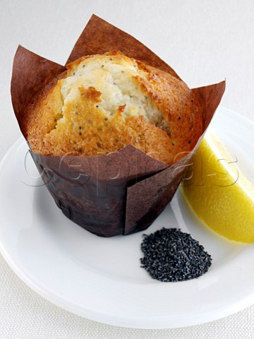 Lemonpop muffin