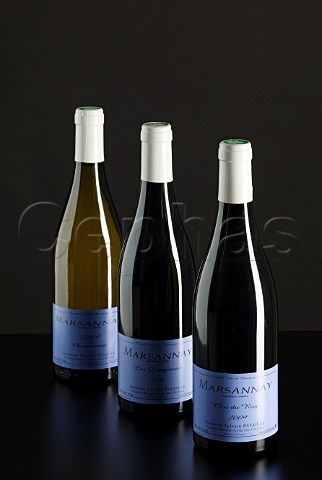 Bottles of 2009 Marsannay Clos du Roy Les Longeroies and Chardonnay from Domaine Sylvain Pataille  MarsannaylaCte Cte dOr France