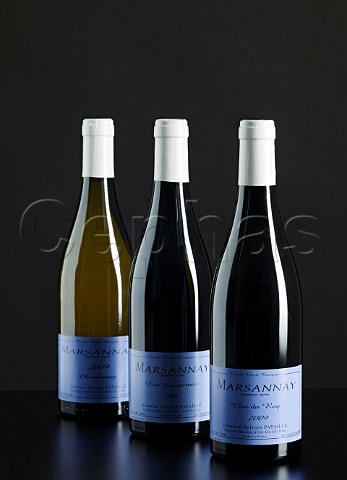Bottles of 2009 Marsannay Clos du Roy Les Longeroies and Chardonnay from Domaine Sylvain Pataille  MarsannaylaCte Cte dOr France