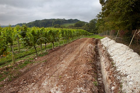 Trench showing the loam on chalk soilprofile in The Wooldings vineyard of Coates  Seely Whitchurch Hampshire England