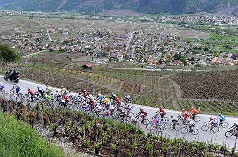 Cyclists in the Tour de Suisse passing between vineyards as they climb up from Leytron and the Rhne Valley Valais Switzerland