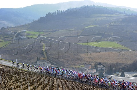 Cyclists in the early spring ParisNice race passing vineyard in the Beaujolais region France